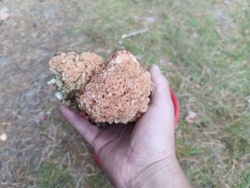 1c4bdfdb-1c6b-448e-92fd-dcd2046aa7a8