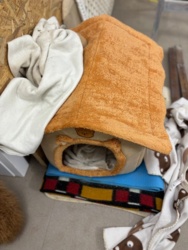 714f97b1-000d-4e22-b1f6-e0a8a68e6eda