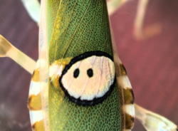 559f8a77-5a56-40e3-bdf1-44616349c1d5