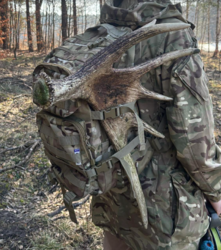 a0d05acd-c77a-4825-ac71-809c9d3533a0