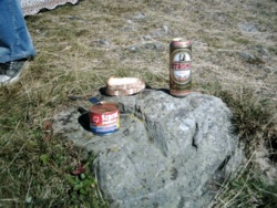 1fd61385-287a-4edb-8587-095c0e3786ae