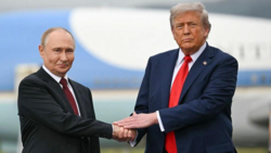 65b14113-ffcb-44d0-ae72-338ef6419041