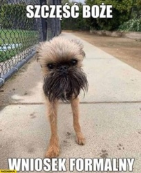 ffe97dc9-7119-4496-8997-c18ddff83f08