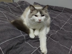 940619e0-6a95-40bc-b602-b64e8710048b