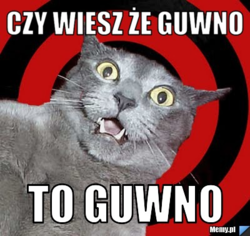 c043a387-4f16-44a4-9475-da96210da2c4