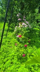 514e489b-f498-4205-9084-f5a8bc2e8b40