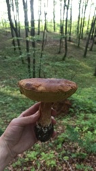 aaaee0f5-5bbc-4721-9587-07f2abdcf4fd