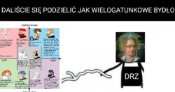 dd2984c6-cf4b-45d5-aa78-1a076d93d883