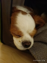 209f73d2-1e34-4563-b1b2-60eabd99fb46