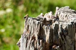 08bca29b-e569-4e20-ac7c-81a2cb53bedc