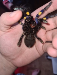 d0637aca-233a-4d9a-97b8-9dbdb3ef0e2e