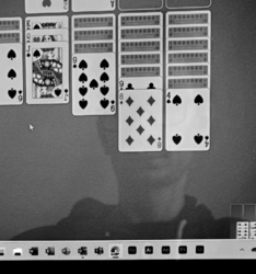 daa5b9ff-f2c3-4b13-98cf-245f56add885