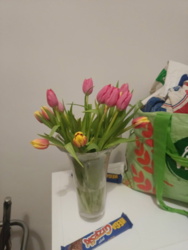 756fc39f-f133-4228-87f4-f8f2df8b3e38