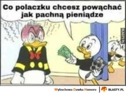 964b3669-1937-43cd-9110-7561902dcad0