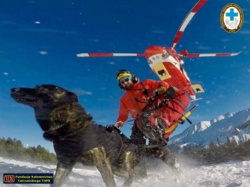 8244a795-b3a2-4247-823d-98fb3463fb42