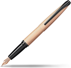 56162a1e-3b11-4539-b4c3-bf280b6998f1