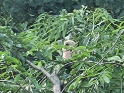 00ee2e55-ad75-4da6-bfaf-86626e1f14c5