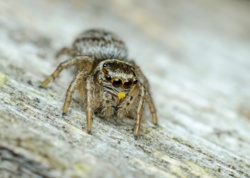 b201afda-49ba-4655-b740-5c941719c6a6