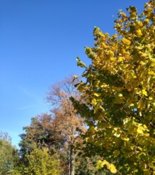 60a9361f-0401-463b-8945-badf96e7292e