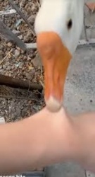 9c56d220-3c5f-4547-bee0-bee636ca8f55