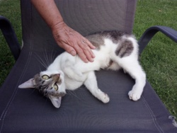 a7af378a-e69e-4ce6-a40a-512e8ac480da