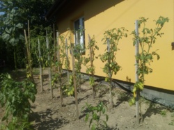 cb667bf1-6232-41e6-bb46-7288cbea2478