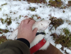 06d0221f-99d8-45a9-b465-d2c69a627a11