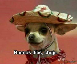 09b2d3d2-aacb-4db5-8fa0-07367db70d93