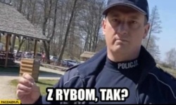 f5d8ab82-3bc2-4af7-96bb-3b7a12bcd999