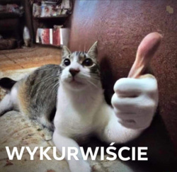 51760b41-90cf-4a74-a629-ba13541b61a8