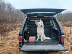 1370c98f-71c5-482e-907d-b4011426f1ad