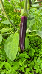 a0d8c41c-6f79-4968-9bec-893470bd4eae