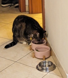 bf182f2a-21be-4867-871b-4ec0e0d0c4f3