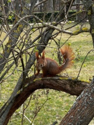 52db541a-27f1-45c1-a272-1a2b4e7f2ded