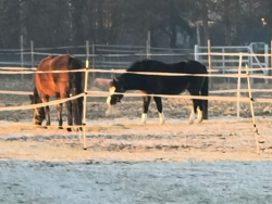 2eaa8bac-3515-4090-ac90-0cc40c699b8d