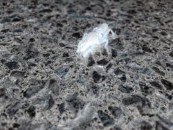 2f860ada-4e8d-4bf2-917f-c08fb306364d