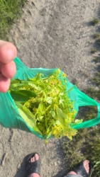 45a58bc7-19df-4049-ab6b-906950f583ef