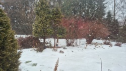 55c264e6-d83b-4a43-9ca4-879639e3f695