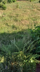 9241fe09-437b-4d08-b078-1e8a84bc291b