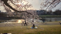 65da1994-2a1b-499d-9f9f-59230aff37c2