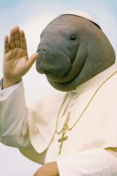 e90b6d09-be91-4c63-a4fb-29363cffc28c