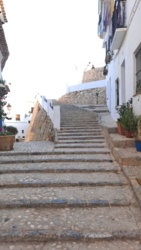 765c9a62-269f-4b5c-ad9f-6f3e3c6b211c