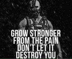 ae25574d-8ef1-4e15-a694-688322cd0013