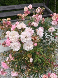 b79a7489-a3bb-4a6b-a9df-0195b8d13080