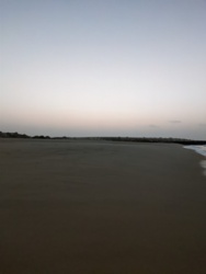 a77b746f-01d4-4705-b4fa-e23fa6b5c597