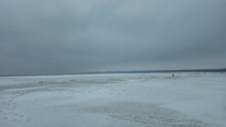 d4d31335-46ff-4484-9bdd-9fb9f82ae09f