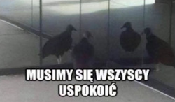 1a8e095c-ee7c-4047-9d03-7b6138645702