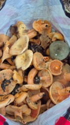 f3159fd9-af94-41e7-bfec-692ec2ba31cc