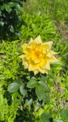 8c063092-8804-41c8-b77e-cee67294c658