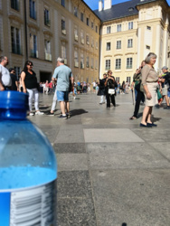 77431afb-635f-4010-a940-580ef9dcb1d7